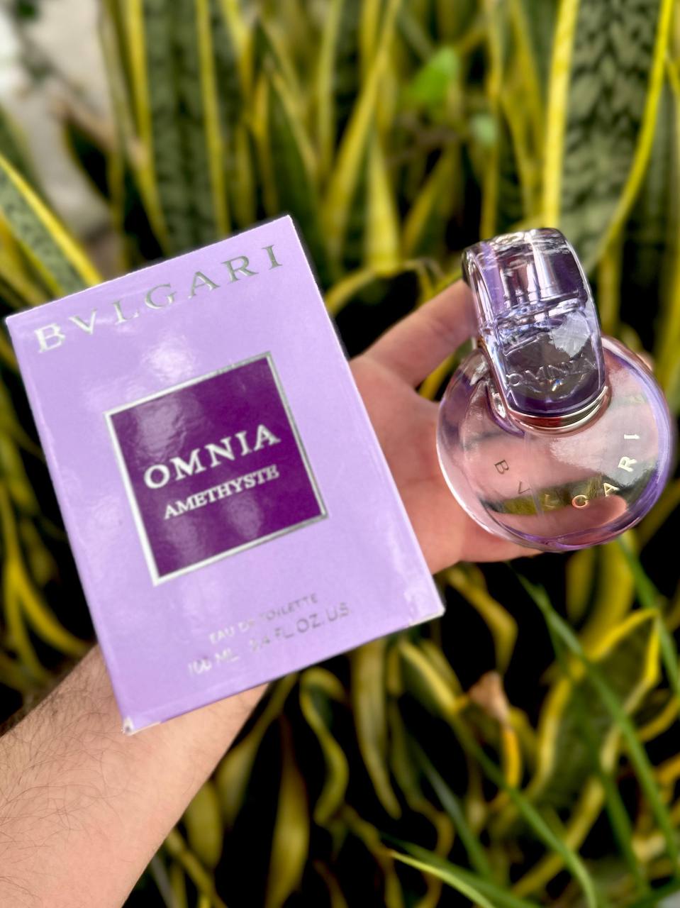 Perfume Omnia Amethysth