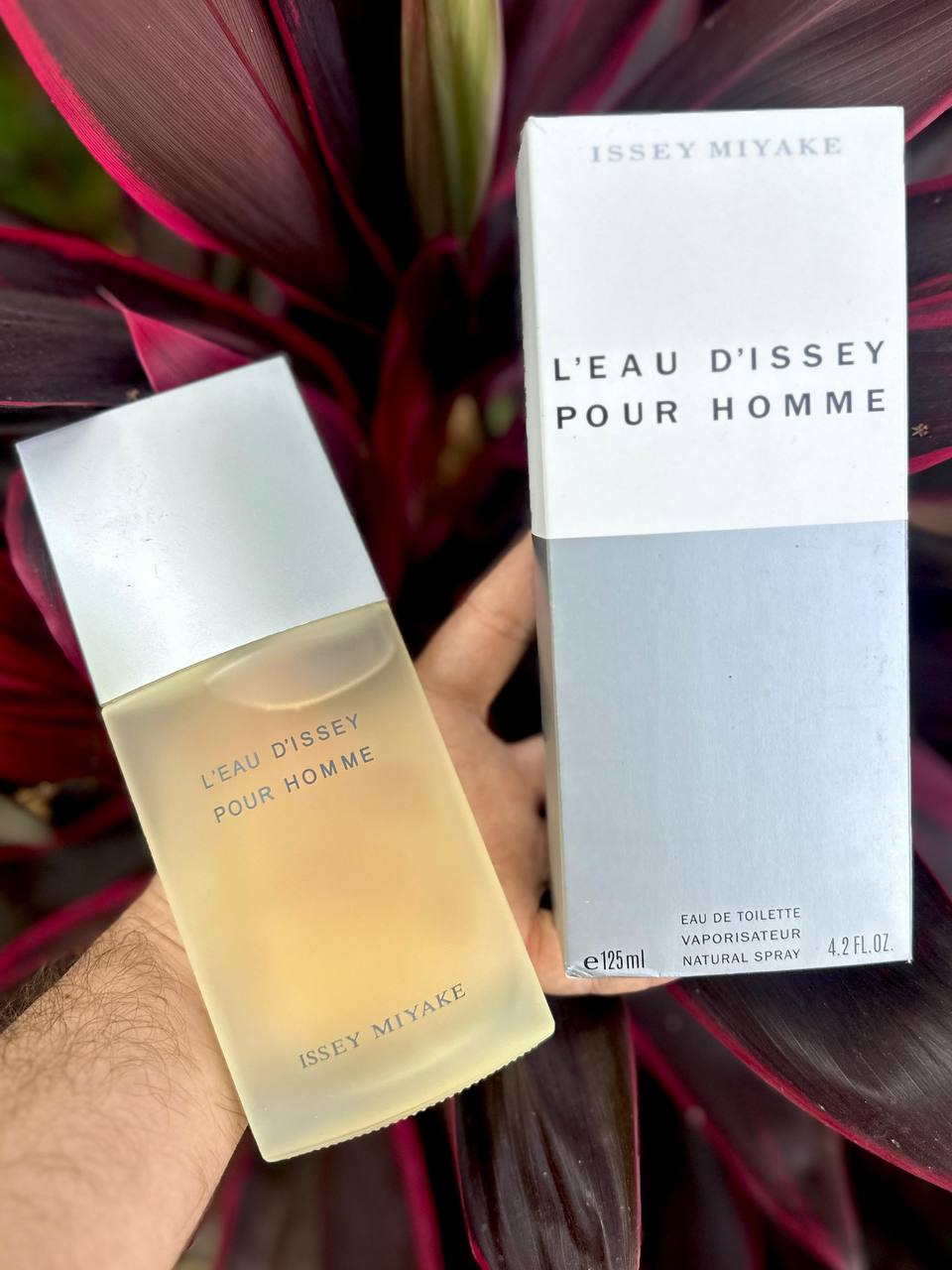 Perfume Issey Miyaki Men