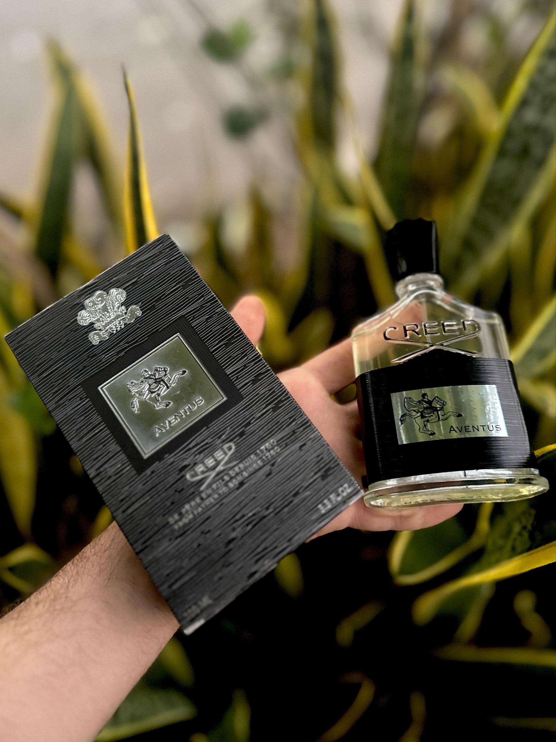 Creed Aventus