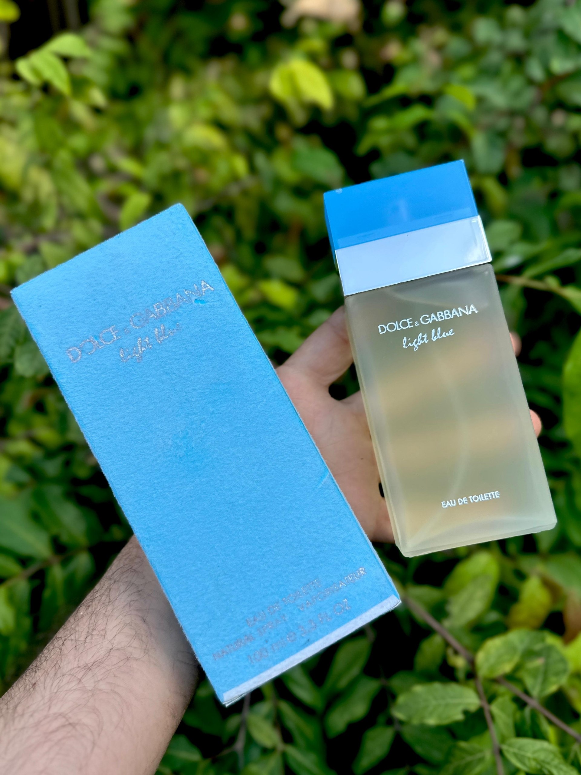 Perfume Light Blue