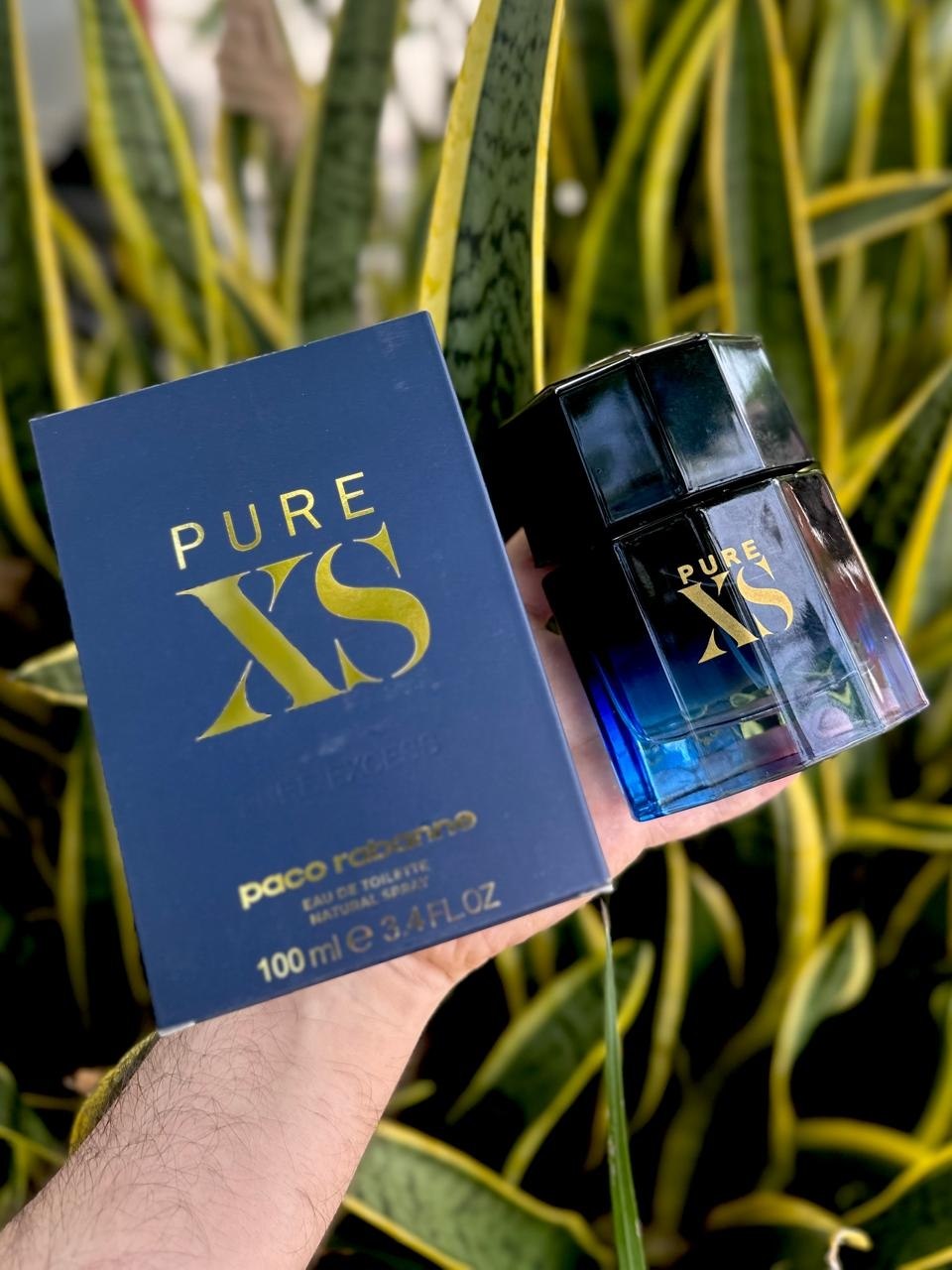 Pure XS