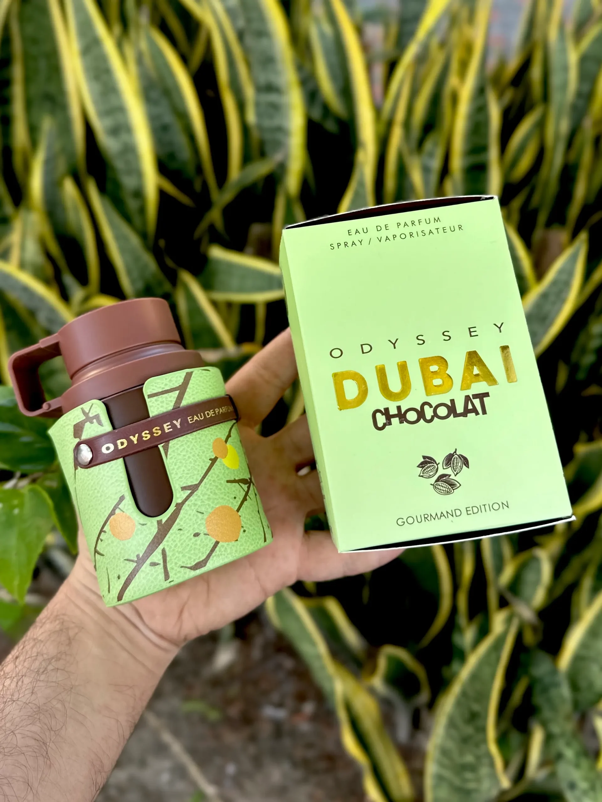 Perfume Odyssey Dubai Chocolat