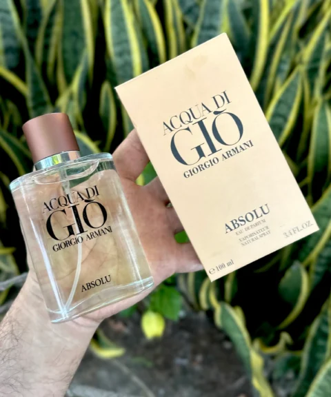 Perfume Acqua di gio Absolu