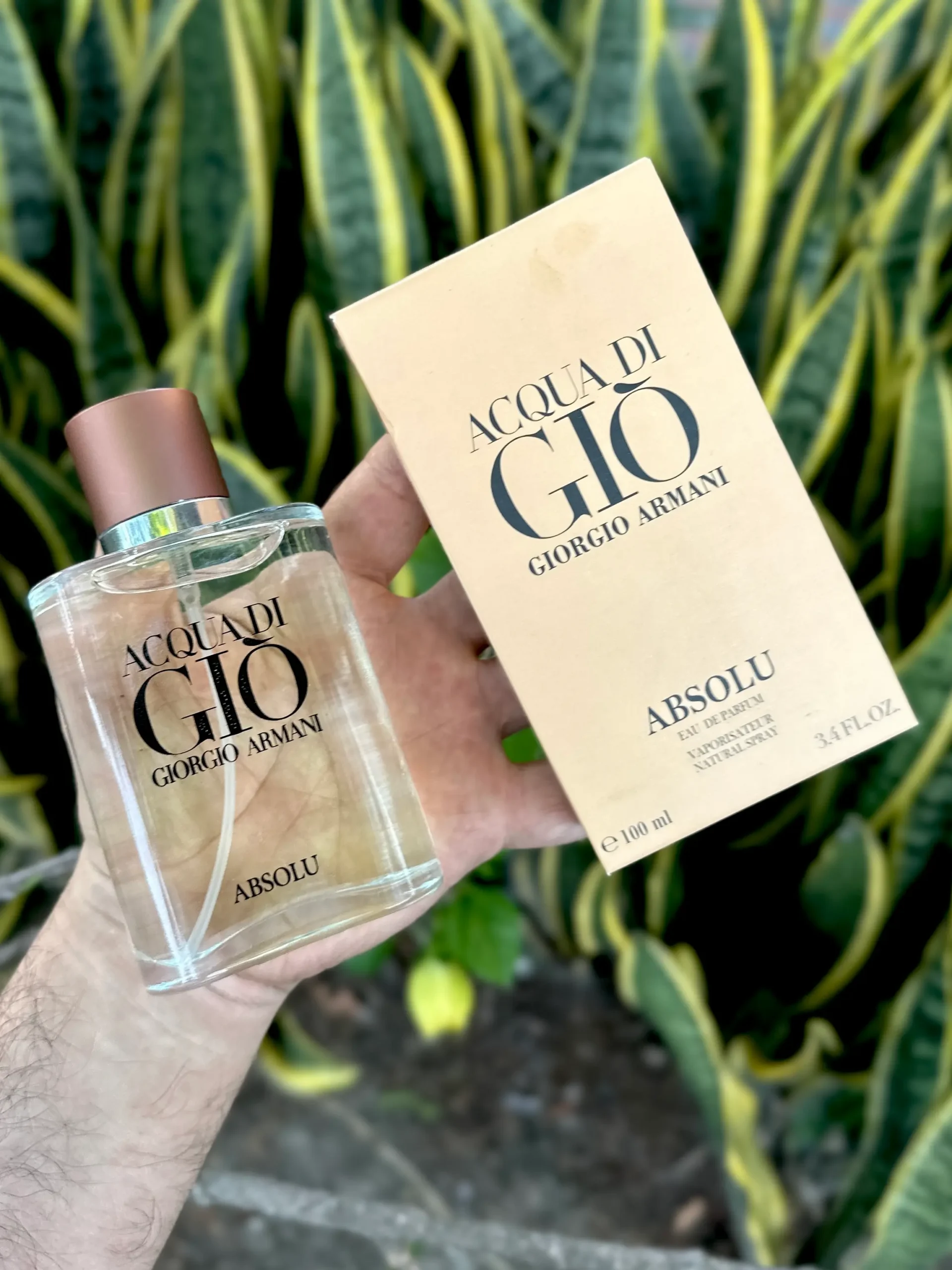 Perfume Acqua di gio Absolu